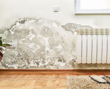 43563629 - damage caused by damp on a wall in modern house